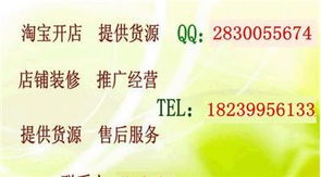 淘宝创业全攻略 从开店、推广到专业培训，解锁网店经营核心技术