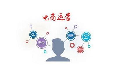 电商运营的核心 从技术推广到精准收藏，告别运营不善与不赚钱的困境